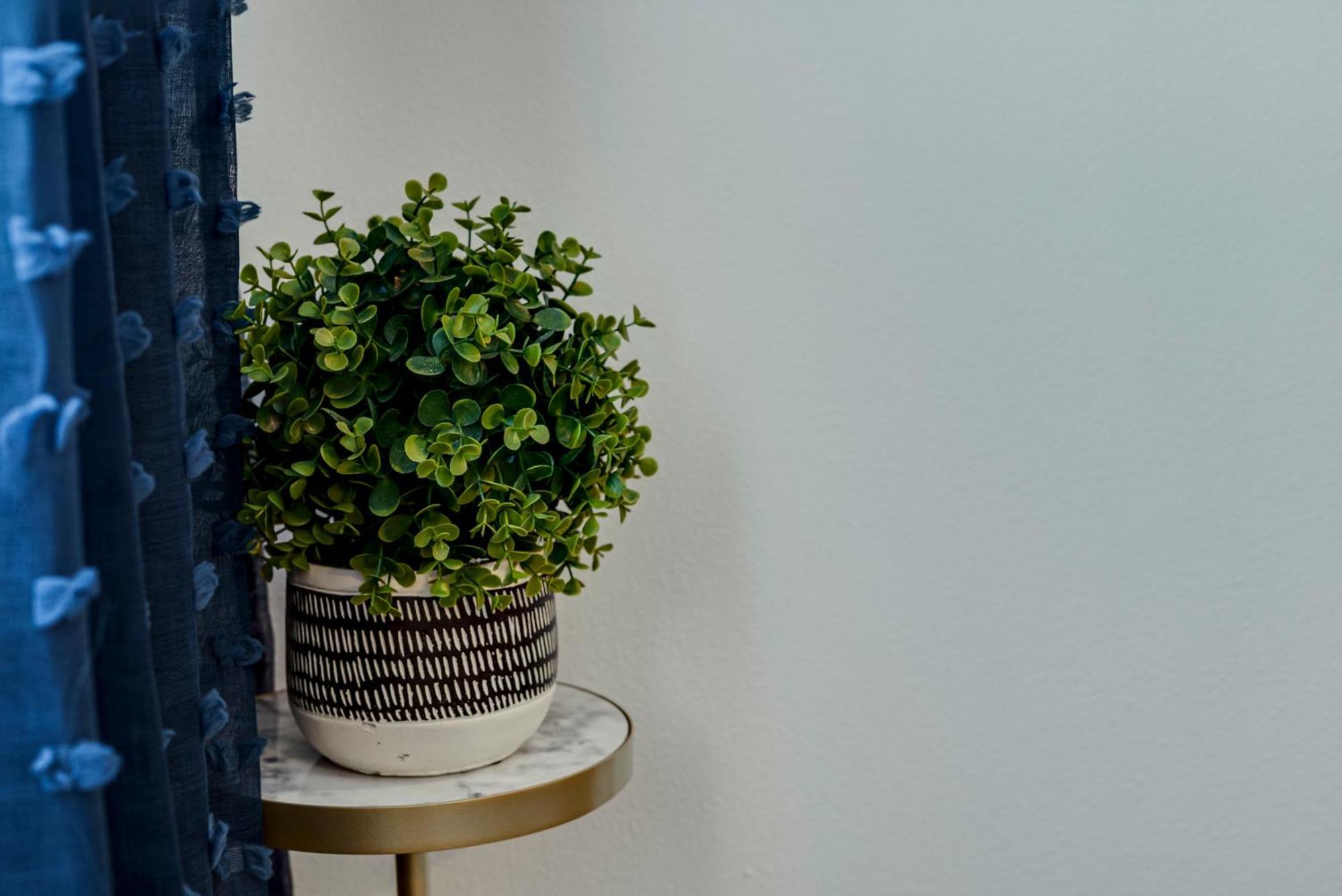 Bright & Cozy Walkable Alberta Condo, Fast Wifi, & Quite * Portland